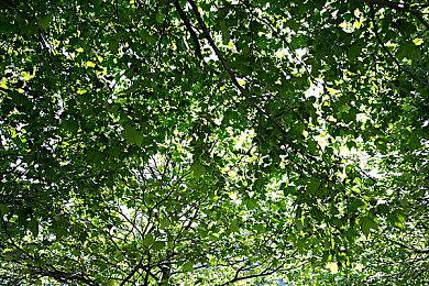 合作奇幻生存冒险游戏《前往星星》面向PC公布